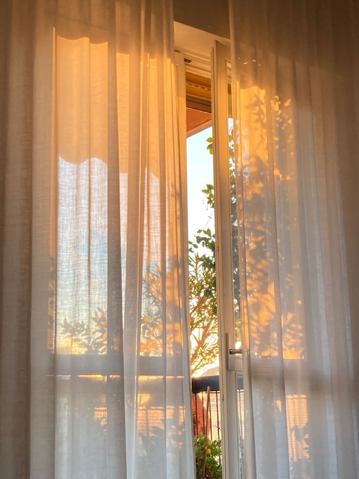 Memulai Hari dengan Suasana Pagi yang Tenang