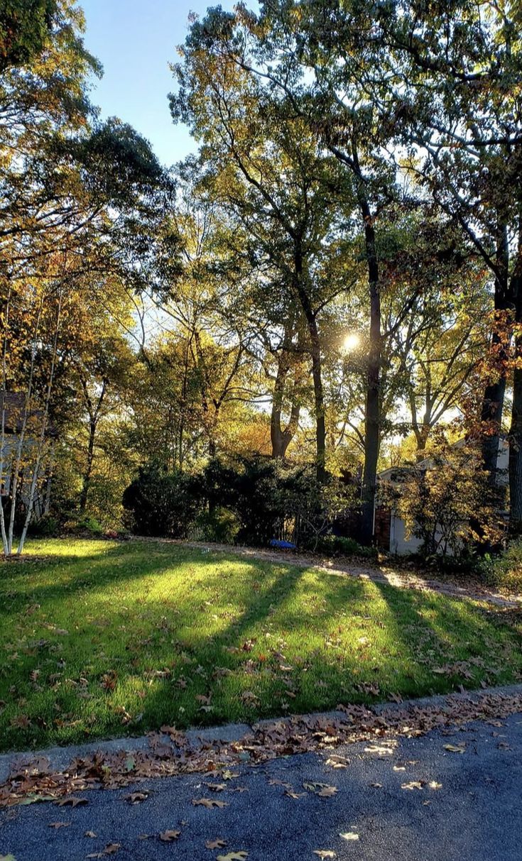 Cara Menyambut Hari dengan Langkah yang Lebih Santai